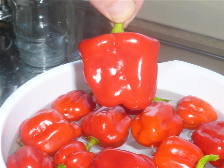 Scotch Bonnets 001 Scotch Bonnets 001